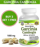 100% Pure Garcinia Cambogia Extract 70% HCA