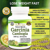 100% Pure Garcinia Cambogia Extract 70% HCA
